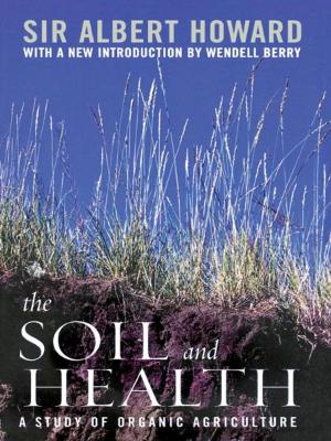 Book cover of The Soil and Health