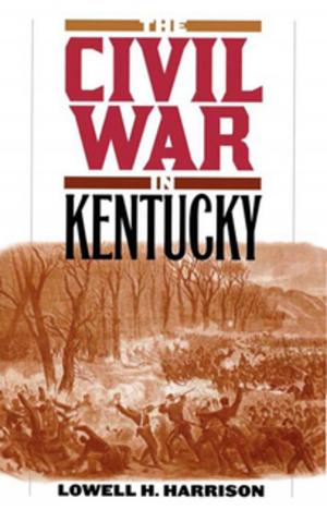 Cover of the book The Civil War in Kentucky by William E. Ellis