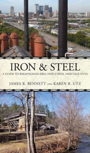 Cover of the book Iron and Steel by Kathryn Tucker Windham, Ben Windham, Dilcy Windham Hilley