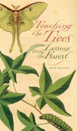 Cover of the book Teaching the Trees by Dan Berger, Hannah Gill, Laurie Lahey, Kevin Allen Leonard, Mark Malisa, Gordon Mantler, Oliver A. Rosales, Chanelle Nyree Rose, Jakobi Williams, Alyssa Ribeiro