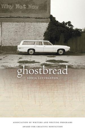 Cover of the book Ghostbread by Bill Roorbach