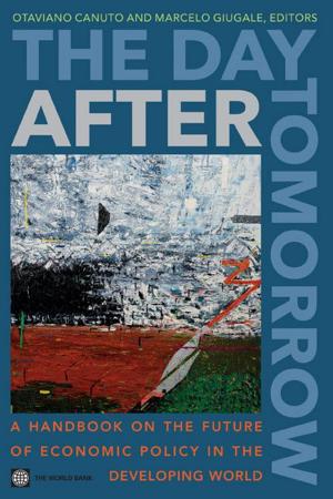 Cover of The Day After Tomorrow: A Handbook On The Future Of Economic Policy In The Developing World