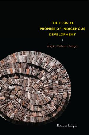 Book cover of The Elusive Promise of Indigenous Development