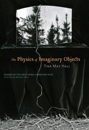 Book cover of The Physics of Imaginary Objects