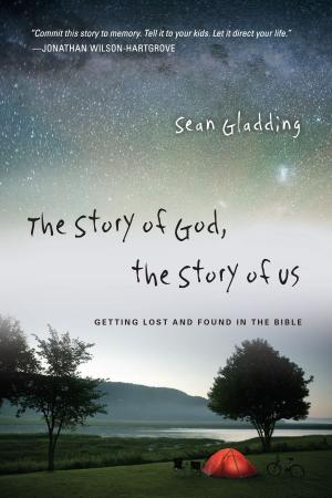 Cover of the book The Story of God, the Story of Us by R. York Moore