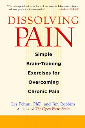 Cover of the book Dissolving Pain by Dmitriy Kushnir