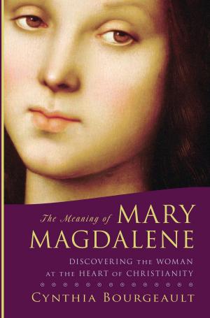 Cover of the book The Meaning of Mary Magdalene by Reginald A. Ray