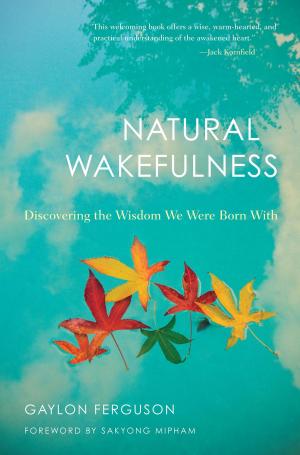 Cover of the book Natural Wakefulness by Kazuaki Tanahashi, Peter Levitt