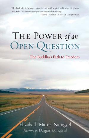 Cover of the book The Power of an Open Question by Susan Kaiser Greenland