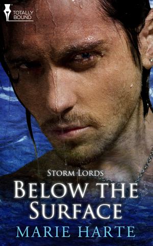 Book cover of Below the Surface