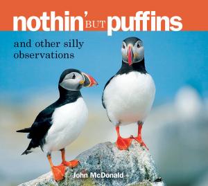 Cover of the book Nothin' but Puffins by J.C.Blumen Violett