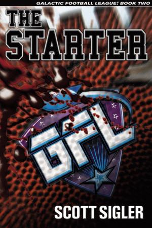 Cover of the book The Starter by L.L. Soares