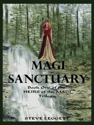bigCover of the book Magi Sanctuary: Book One of the Heirs of the Magi Trilogy by 