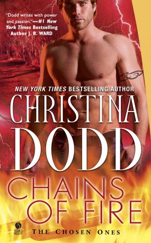 Cover of the book Chains of Fire by Patricia D. Eddy