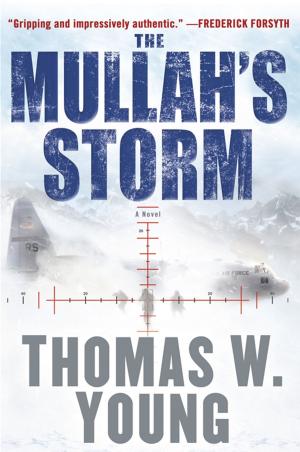 Cover of the book The Mullah's Storm by Jayne Ann Krentz