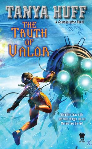 Cover of the book The Truth of Valor by Seanan McGuire