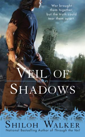 Cover of the book Veil of Shadows by Eileen Wilks