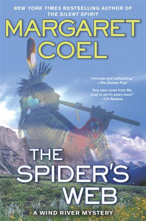 Cover of the book The Spider's Web by Richard F Hill