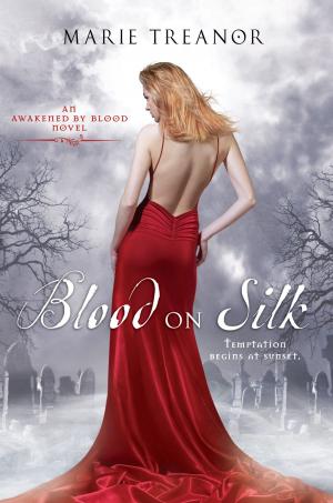 Cover of the book Blood on Silk by Alison Buckholtz