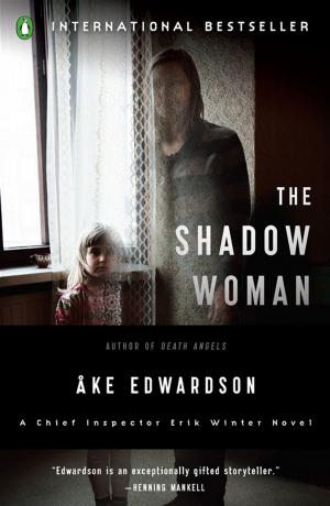 Cover of the book The Shadow Woman by Paul Glovinsky, Art Spielman