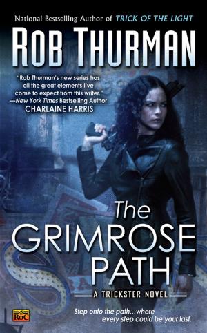 bigCover of the book The Grimrose Path by 