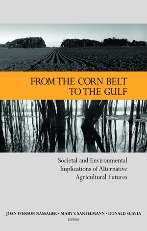 Cover of the book From the Corn Belt to the Gulf by Norman Segalowitz