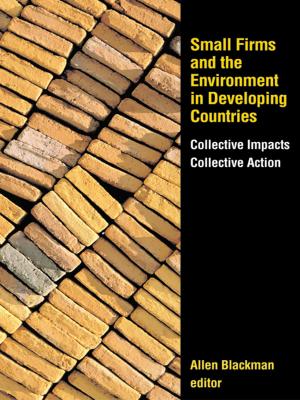 Cover of the book Small Firms and the Environment in Developing Countries by Eric C. Schwarz, Hans Westerbeek, Dongfeng Liu, Paul Emery, Paul Turner