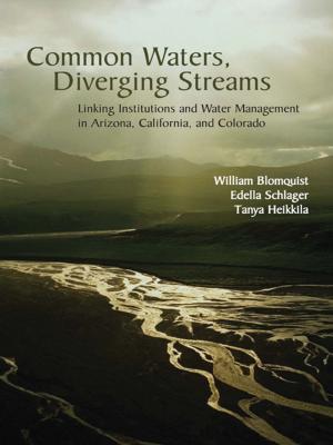 Book cover of Common Waters, Diverging Streams