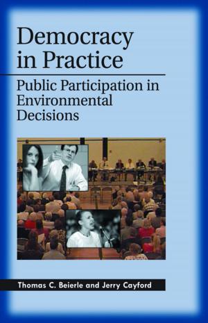 Cover of the book Democracy in Practice by Judy Carter, George Irani, Vamik D Volkan