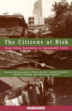 Book cover of The Citizens at Risk