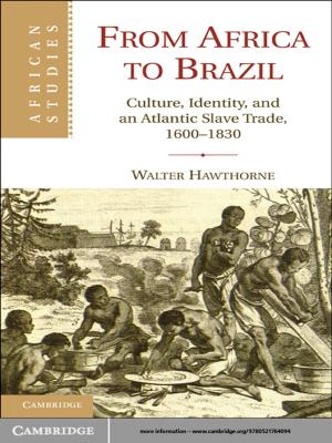 Cover of the book From Africa to Brazil by Howard L. Reiter, Jeffrey M.  Stonecash