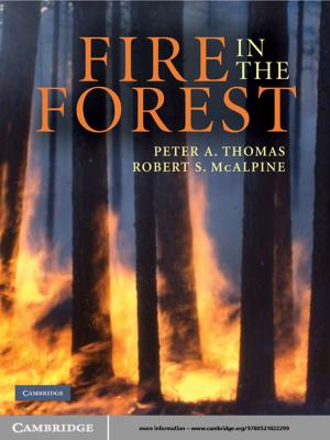 Cover of the book Fire in the Forest by Mark Davison, Ann Monotti, Leanne Wiseman