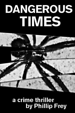 Cover of the book Dangerous Times by Brett Halliday