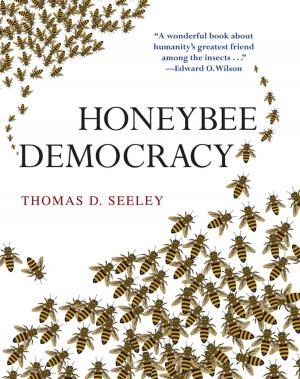 Book cover of Honeybee Democracy