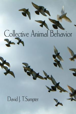Book cover of Collective Animal Behavior