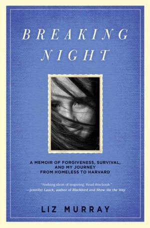 Cover of the book Breaking Night by Ronny Herman de Jong