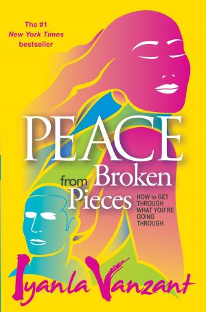 Cover of the book Peace from Broken Pieces by Michelle Phillips