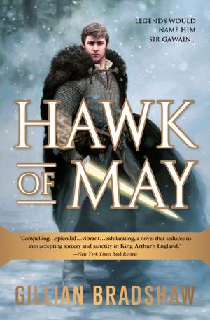 Cover of the book Hawk of May by Patricia Simpson