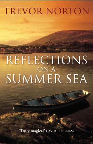 Cover of Reflections On A Summer Sea
