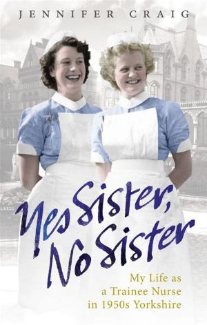 Cover of the book Yes Sister, No Sister by Maggie Hope