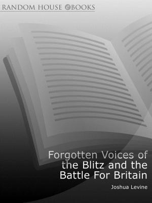 Cover of the book Forgotten Voices of the Blitz and the Battle For Britain by Aran Ashe