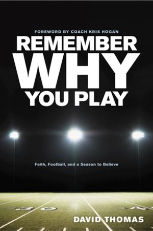 Cover of the book Remember Why You Play by Mike Nawrocki
