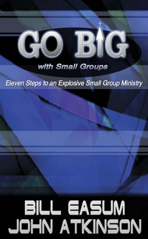 Book cover of Go BIG with Small Groups