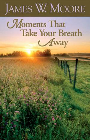 Book cover of Moments That Take Your Breath Away