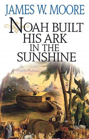 Book cover of Noah Built His Ark In The Sunshine