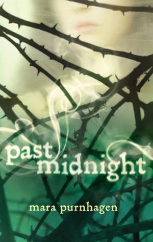 Cover of the book Past Midnight by Patty Salier