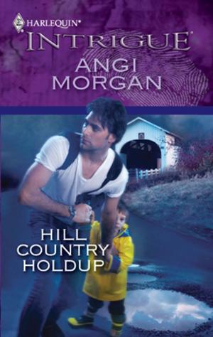 Cover of the book Hill Country Holdup by Barbara Hannay