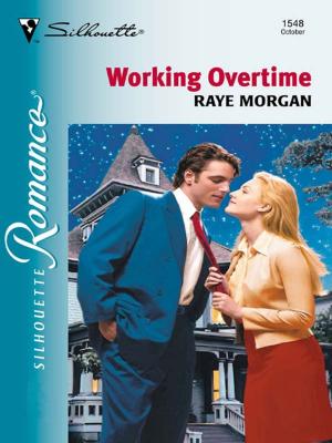 bigCover of the book Working Overtime by 