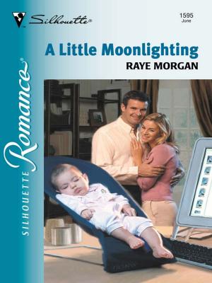Cover of the book A Little Moonlighting by Cindy Kirk