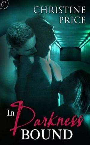 Cover of the book In Darkness Bound by Julie Moffett